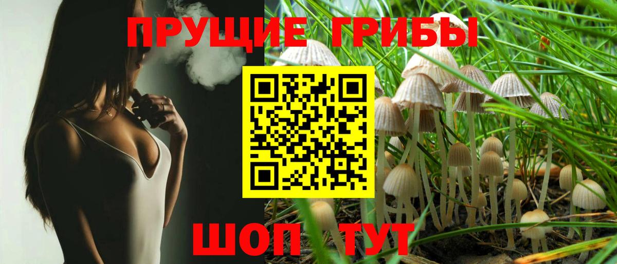 Псилоцибиновые грибы мицелий Шумерля