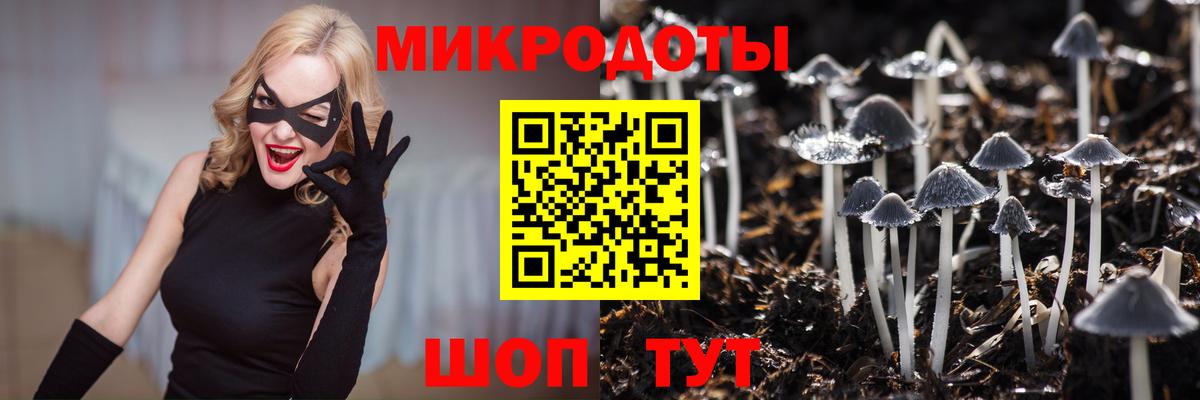продажа наркотиков  Псилоцибиновые грибы Magic Shrooms  Галлюциногенные грибы прущие грибы  Вход с VPN  Шумерля 